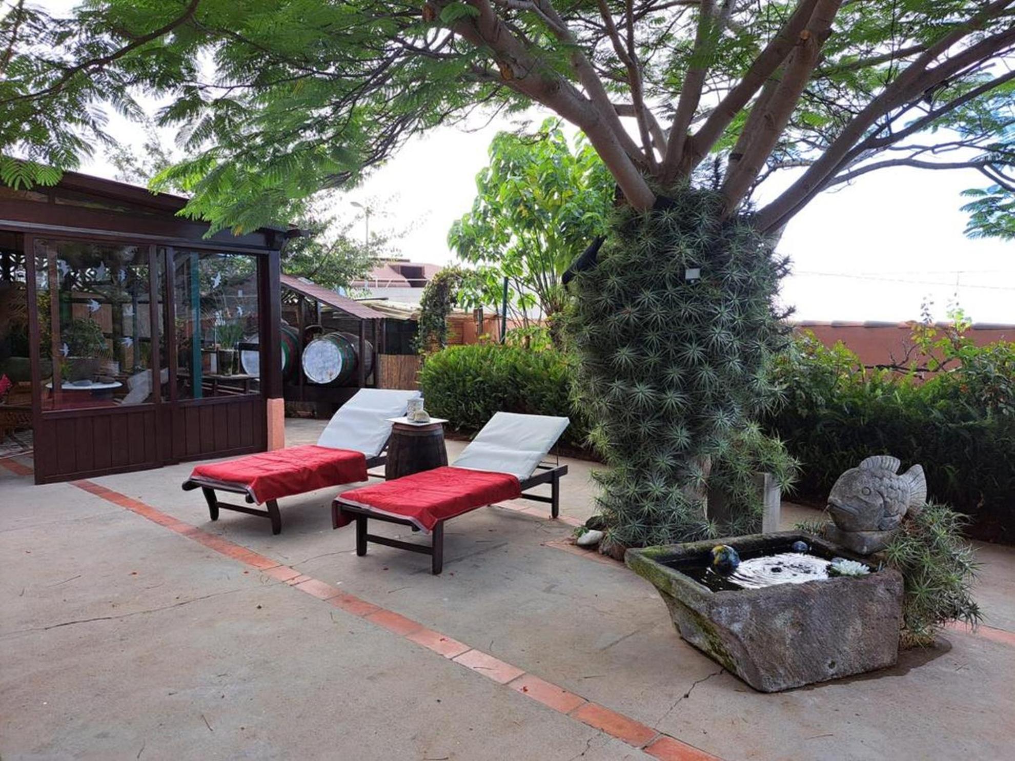 Finca Cebollino La Orotava Εξωτερικό φωτογραφία